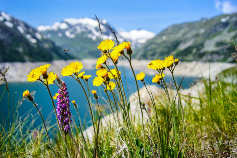 Connecting to Travel