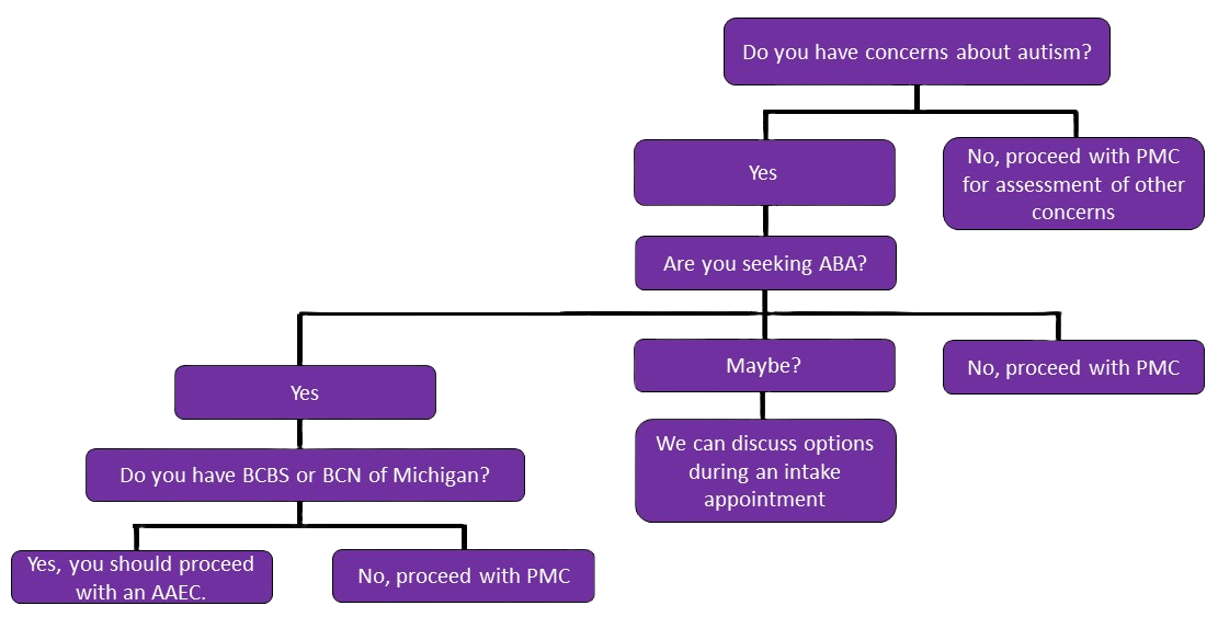 Autism Flowchart